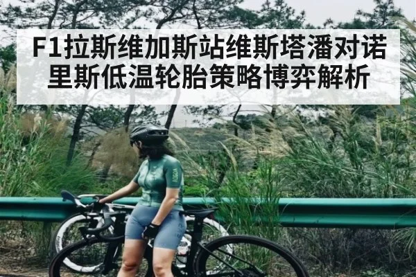 F1拉斯维加斯站维斯塔潘对诺里斯低温轮胎策略博弈解析